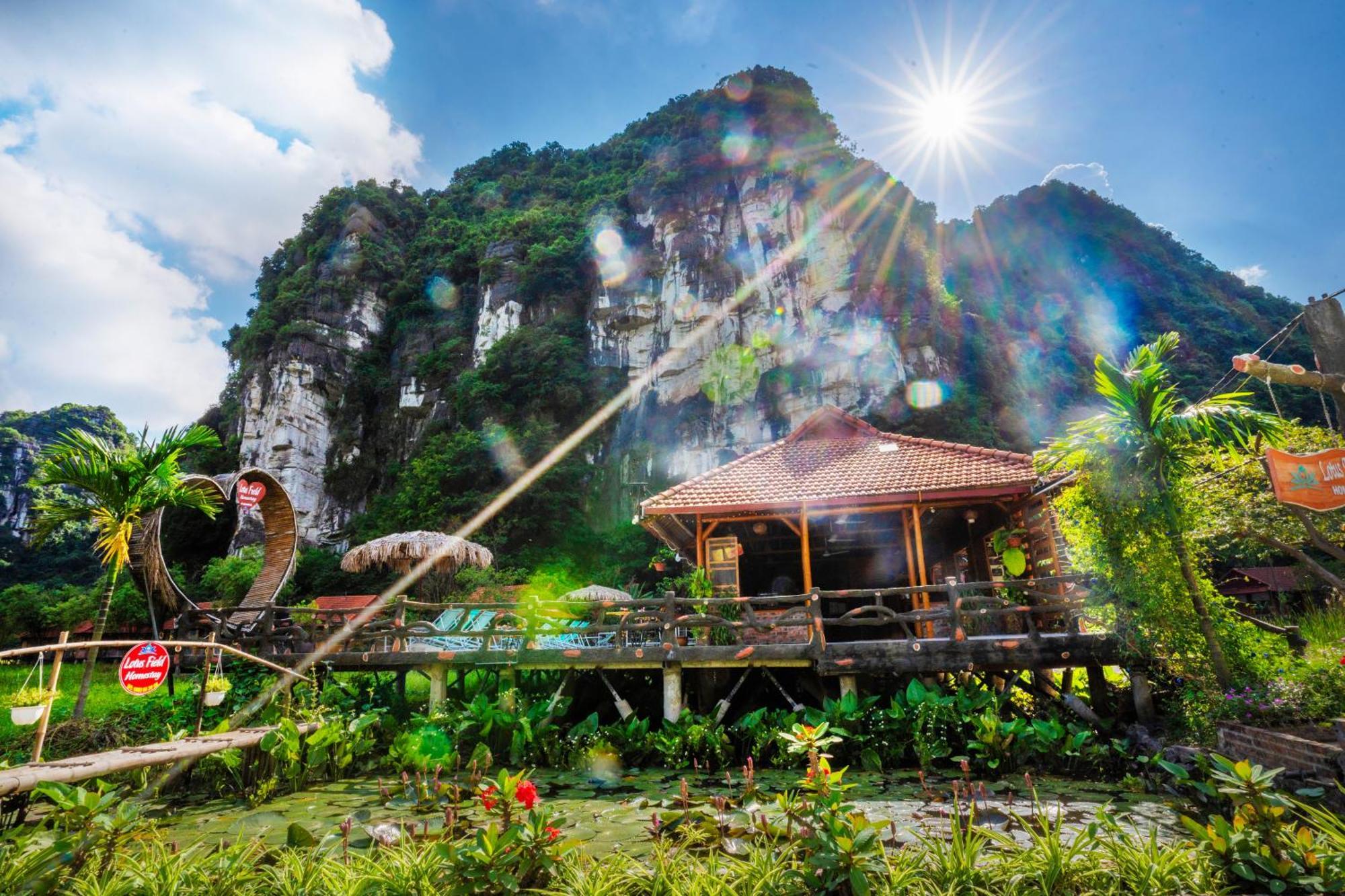 Lotus Field Homestay Ninh Binh Esterno foto