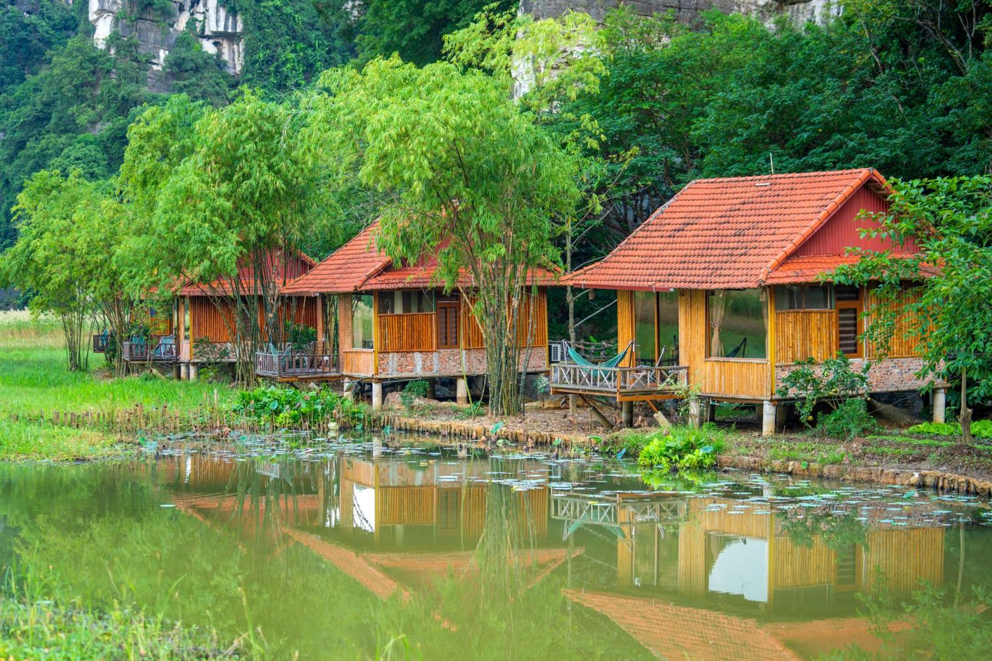 Lotus Field Homestay Ninh Binh Esterno foto