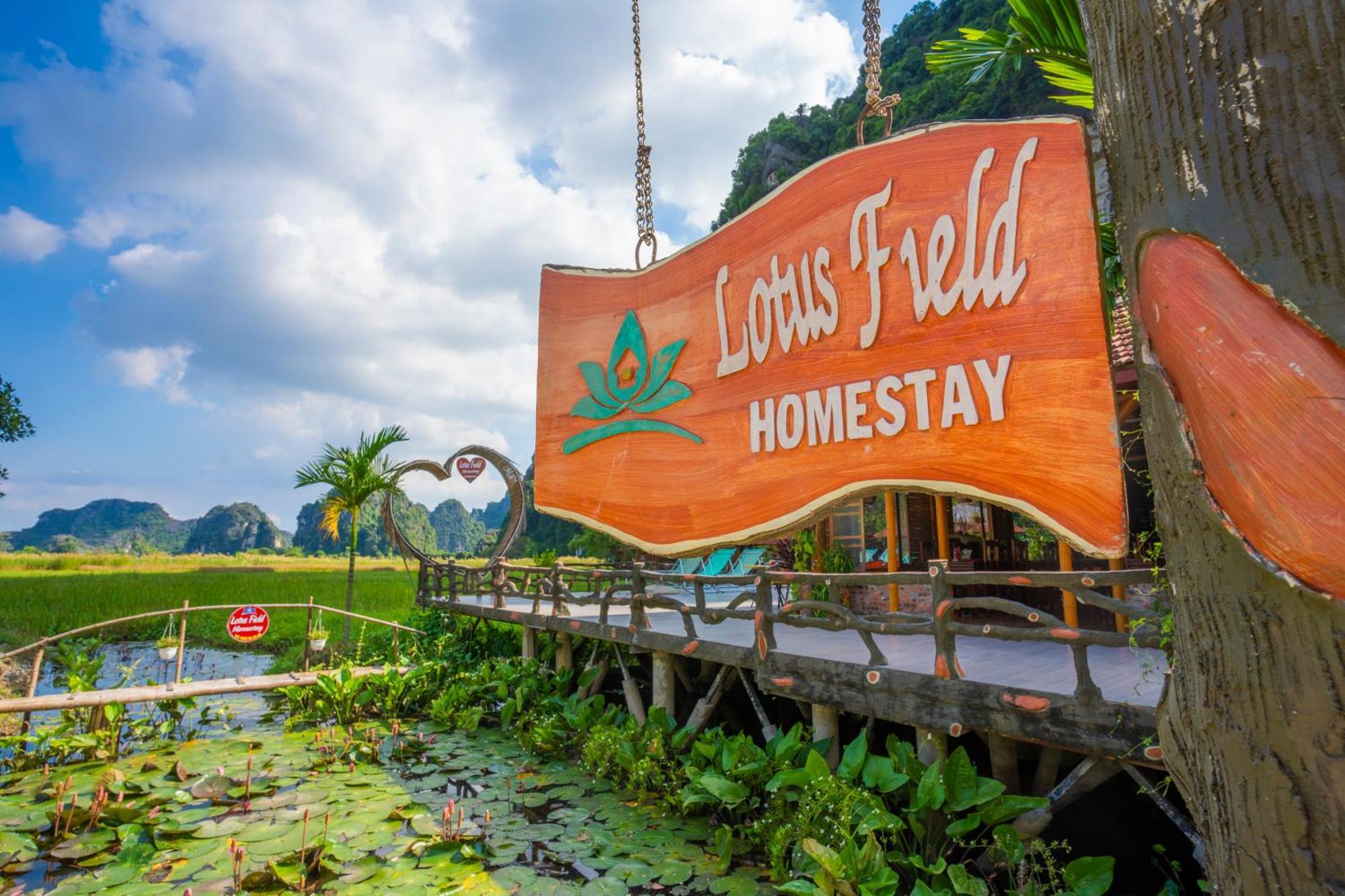 Lotus Field Homestay Ninh Binh Esterno foto