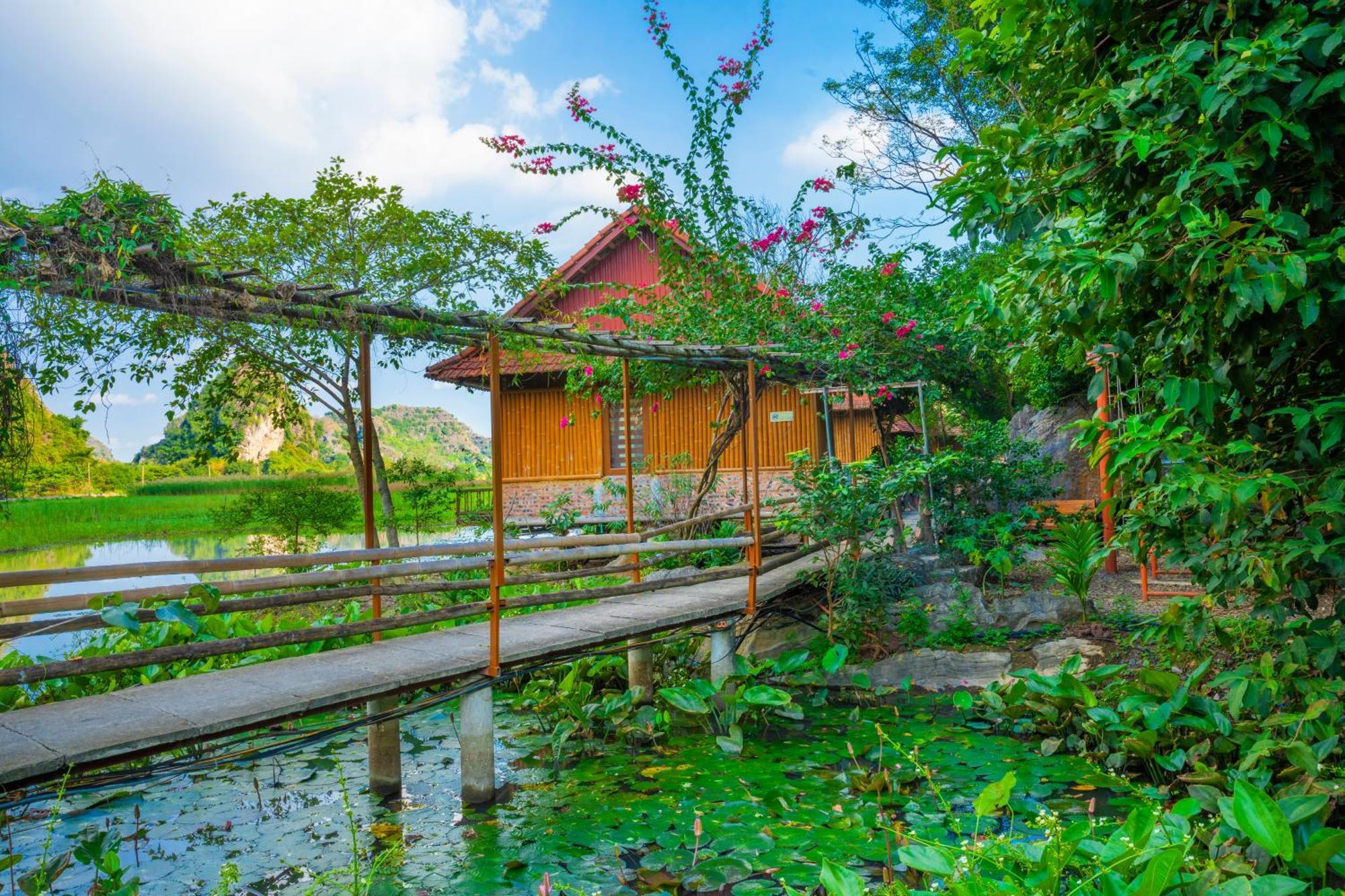 Lotus Field Homestay Ninh Binh Esterno foto