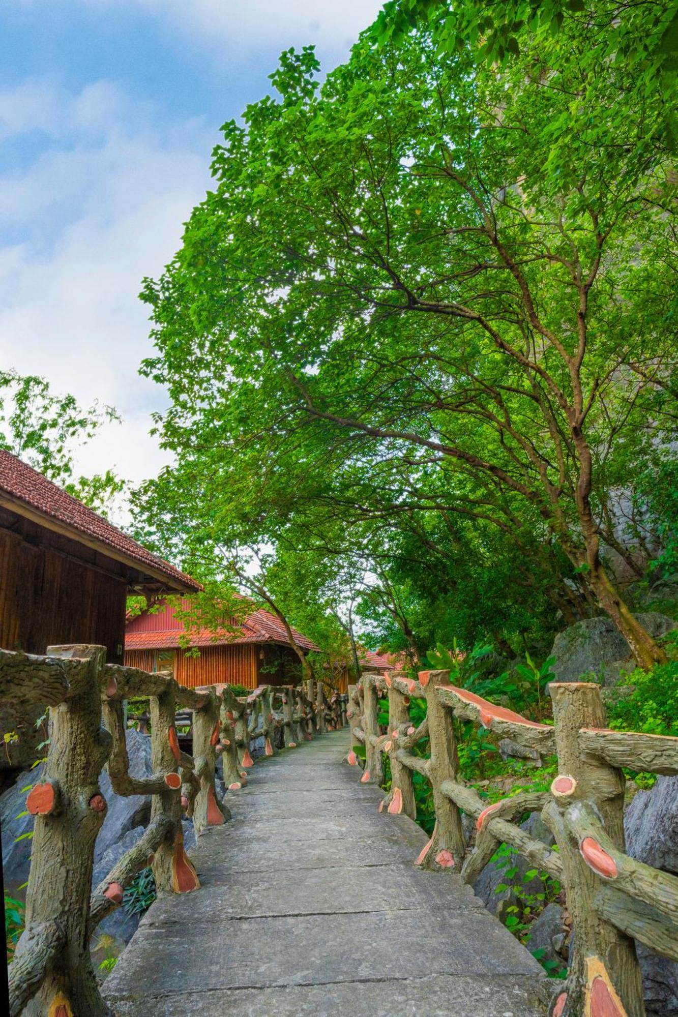Lotus Field Homestay Ninh Binh Esterno foto