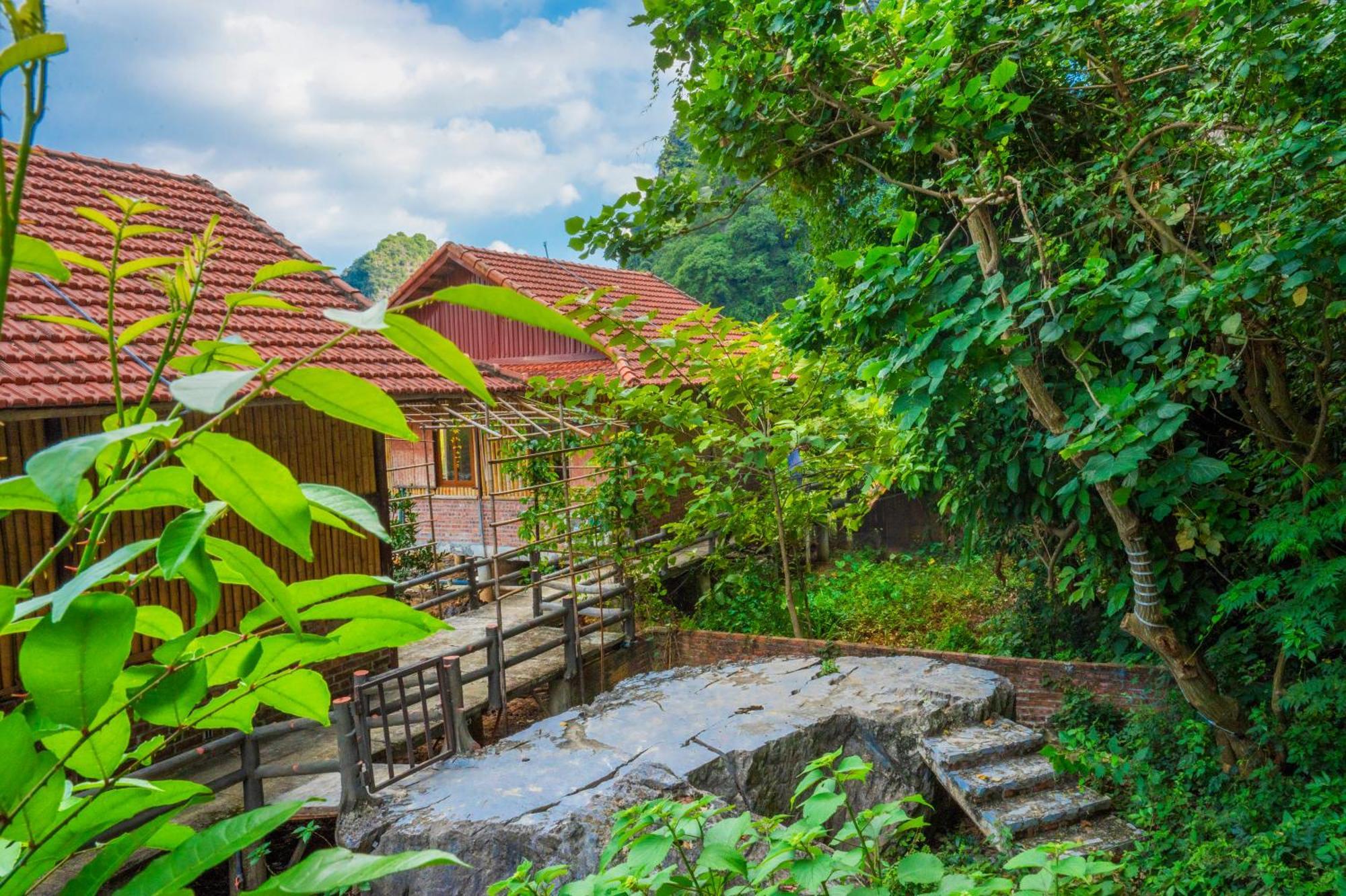 Lotus Field Homestay Ninh Binh Esterno foto